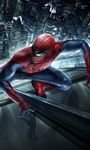 pic for Peter Parker Amazing Spider Man 768x1280